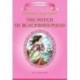 The Witch of Blackbird Pond / Ведьма с пруда Черных Дроздов. 10-11 классы. Книга для чтения на английском языке
