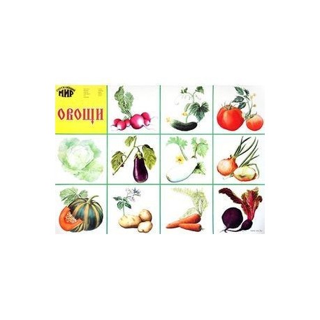Плакат. Овощи