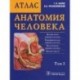 Анатомия человека: атлас в 3 томах. Том  3.