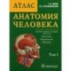 Анатомия человека: Атлас.