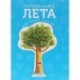 Голубая книга лета