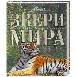 Звери мира