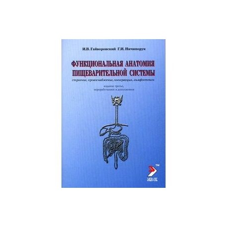 Функциональная анатомия органов пищеварительной системы