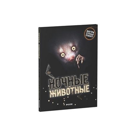 Ночные животные.