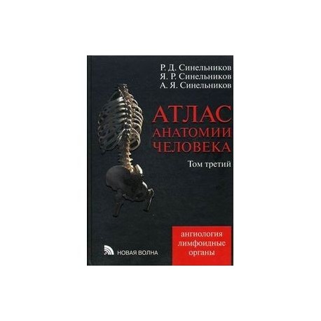 Атлас анатомии человека. В 4-х томах. Том 3. Учение о сосудах и лимфоидных органах