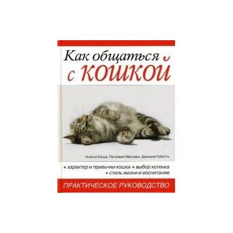 Как общаться с кошкой