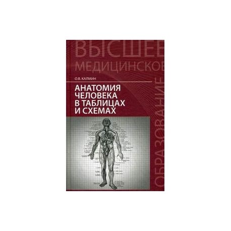 Анатомия человека в таблицах и схемах. Учебное пособие