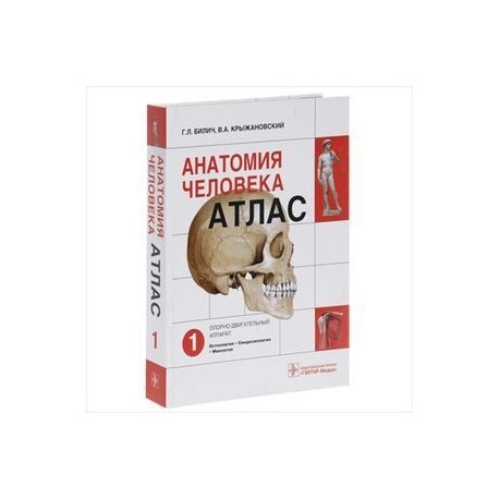 Анатомия человека. Атлас. В 3 томах. Том 1. Опорно-двигательный аппарат