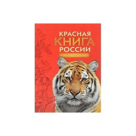 Красная книга формата а4 для проекта Красная книга России. Животные купить с доставкой в интернет-магазине janzenshop
