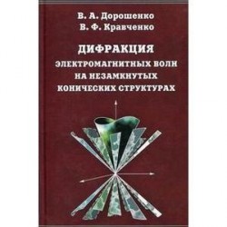 Дифракция электромагнитных волн на незамкнутых конических структурах