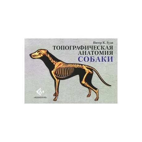 Топографическая анатомия собаки