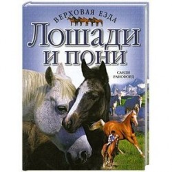 Лошади и пони. Верховая езда