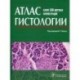 Атлас гистологии. Более 500 цветных иллюстраций