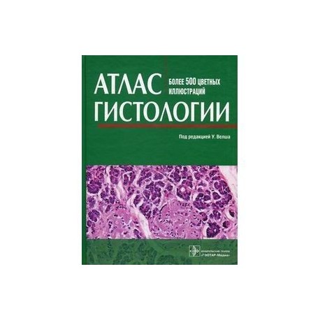 Атлас гистологии. Более 500 цветных иллюстраций