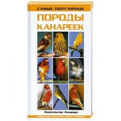 Самые популярные породы канареек