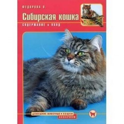 Сибирская кошка. Содержание и уход