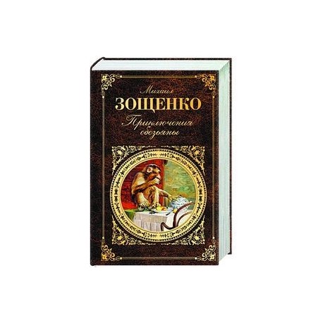 Приключения обезьяны