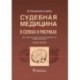 Судебная медицина в схемах и рисунках. Учебное пособие