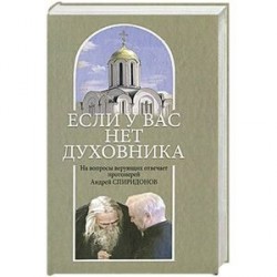 Если у вас нет духовника. На вопросы верующих отвечает протоиерей Андрей Спиридонов