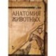 Анатомия животных. Учебное пособие (+DVD)