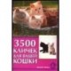 3500 кличек для вашей кошки