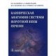 Клиническая анатомия системы воротной вены печени