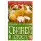 Прибыльное разведение свиней и поросят