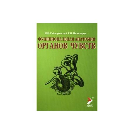 Функциональная анатомия органов чувств