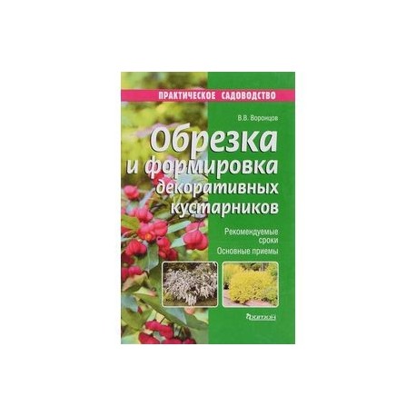 Обрезка и формировка декоративных кустарников