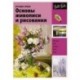 Лучшие уроки. Основы живописи и рисования