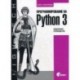 Программирование на Python 3. Подробное руководство