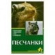 Песчанки. Обзор видов. Содержание. Уход. Разведение