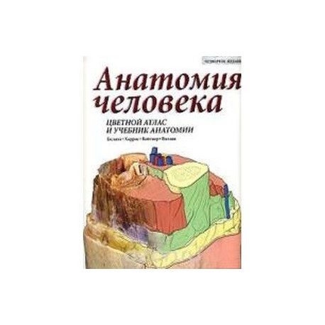 Анатомия человека. Цветной атлас и учебник анатомии