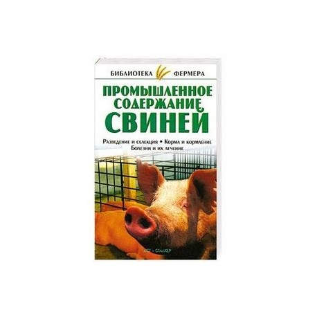 Промышленное содержание свиней