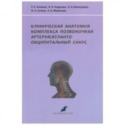 Клиническая анатомия комплекса позвоночная артерия