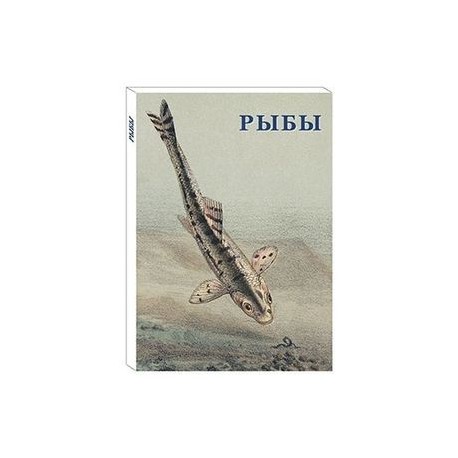 Рыбы (набор из 15 открыток)