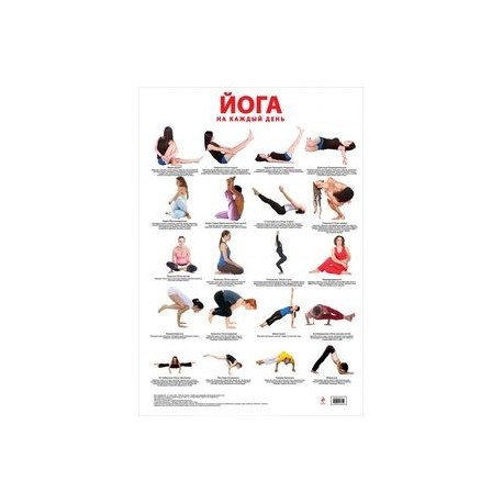 каждый день расписан времени нет йога. каждый день расписан времени нет йога. каждый день расписан времени нет йога. планка упражнение. книга позы на каждый день.