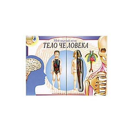 Мой первый атлас: Тело человека. Анатомия для самых маленьких