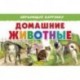 Домашние животные