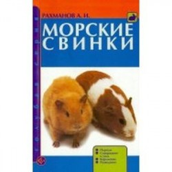 Морские свинки. Породы. Содержание и уход. Кормление. Разведение