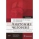 Анатомия человека. Учебник. В 2 томах. Том 1. Система органов опоры и движения. Спланхнология
