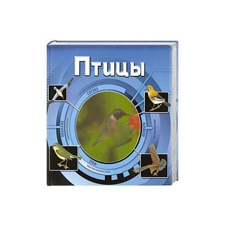 Птицы