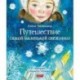 Путешествие самой маленькой снежинки