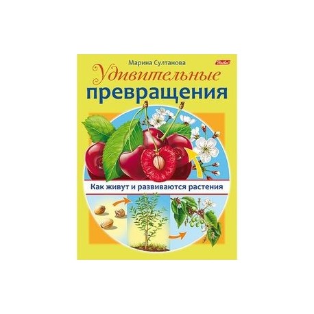 Удивительные превращения. Как живут и развиваются растения