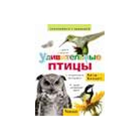 Удивительные птицы