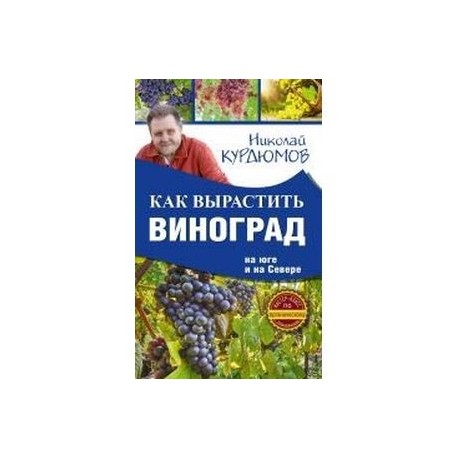 Как вырастить виноград на Юге и на Севере