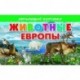 Карточки. Животные Европы