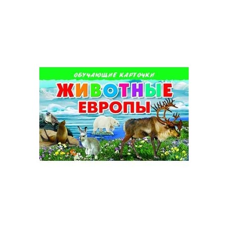 Карточки. Животные Европы