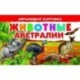 Карточки. Животные Австралии