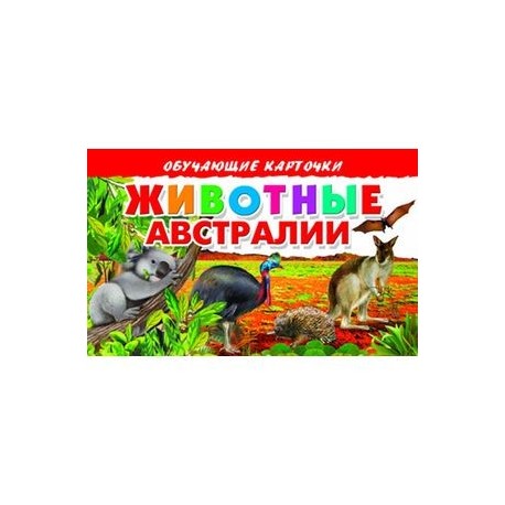 Карточки. Животные Австралии